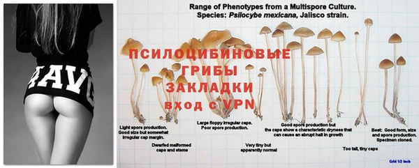 бутират Абдулино