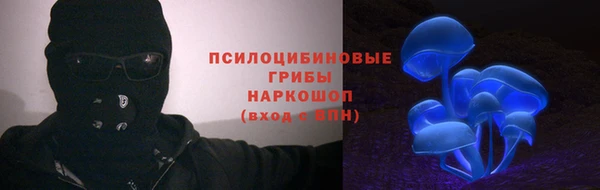 индика Покровск