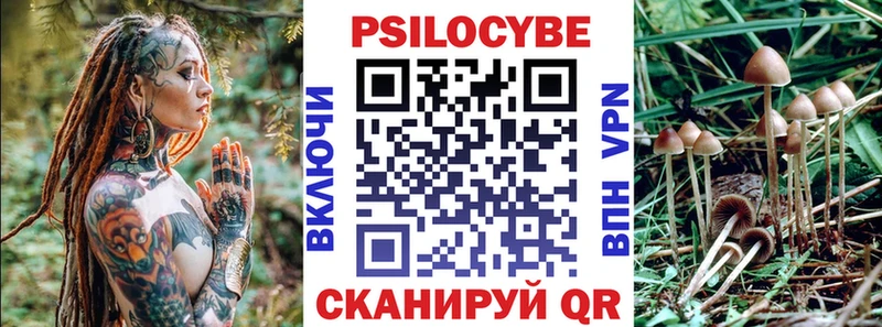 Псилоцибиновые грибы мухоморы  Подпорожье 